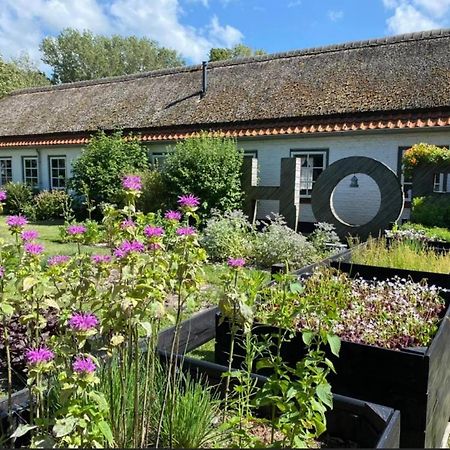 Willa Hof Aan Zee Dishoek Zewnętrze zdjęcie