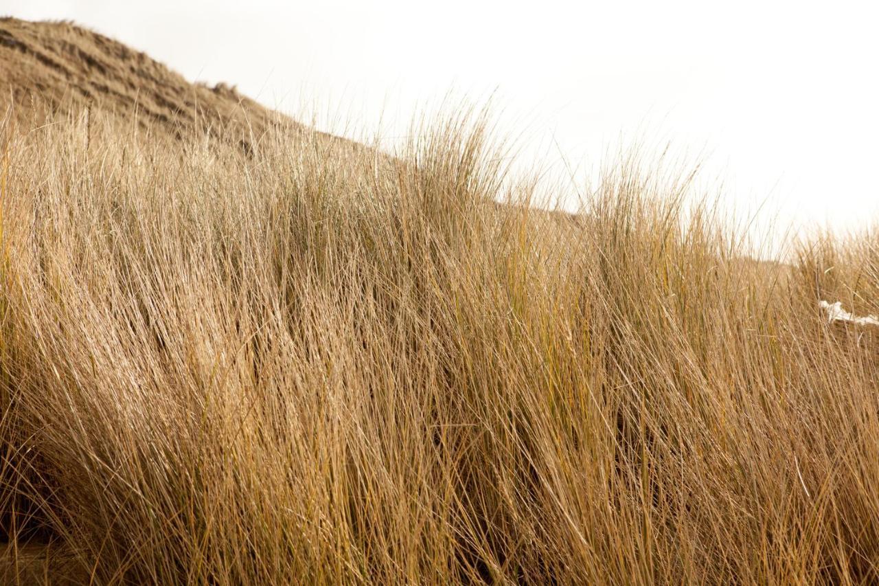 Willa Hof Aan Zee Dishoek Zewnętrze zdjęcie