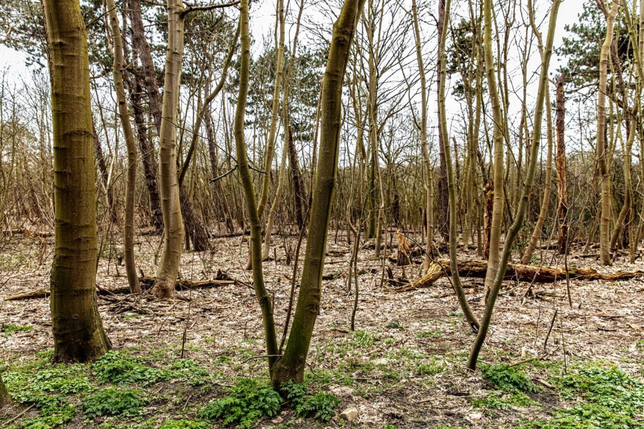 Willa Hof Aan Zee Dishoek Zewnętrze zdjęcie