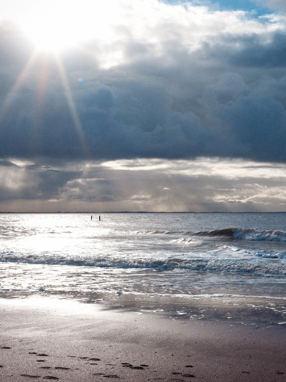 Willa Hof Aan Zee Dishoek Zewnętrze zdjęcie